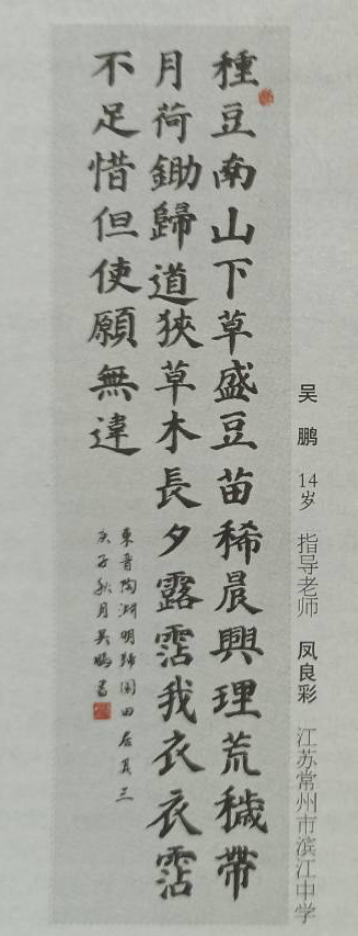《中国书法报》刊登滨中学子作品